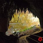 Parque Nacional de las Cavernas del Río Camuy