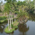 Naples Zoo at Caribbean Gardens