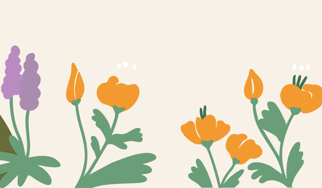 Footer image