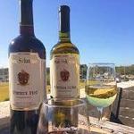 San Sebastian Winery