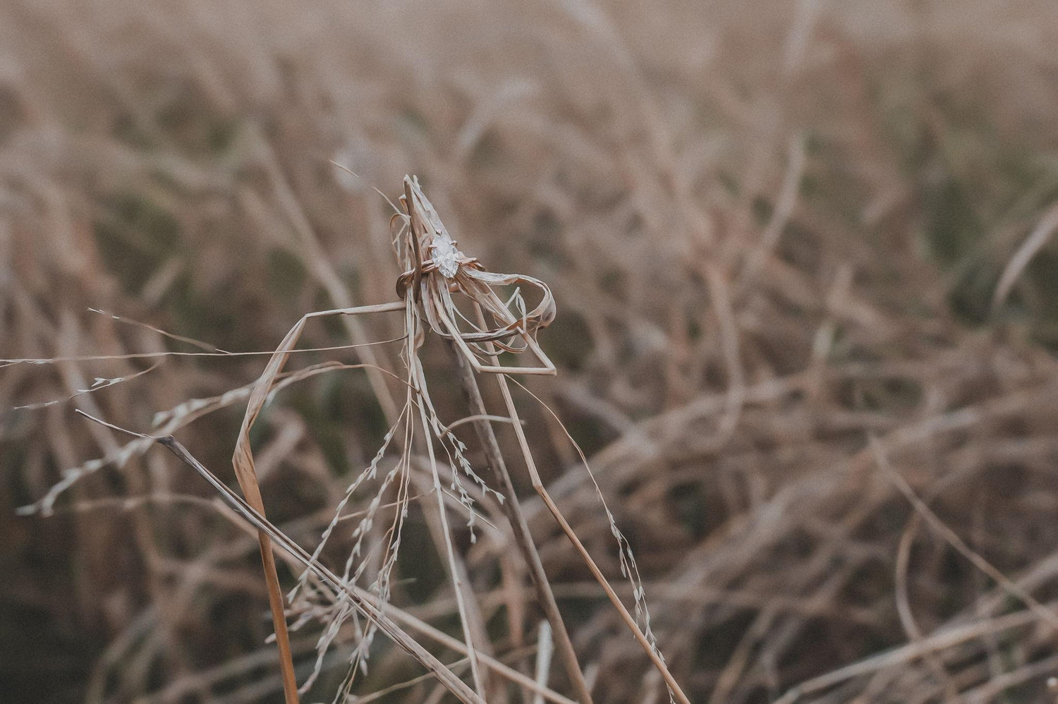 The Wedding Website of Lacey Rutzer and Ty Barnett