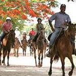 HORSEBACK RIDING