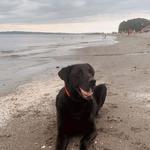 Golden Gardens Park