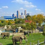 Denver Zoo