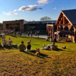 Tree House Brewing Company