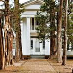 Rowan Oak