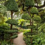 Lotusland
