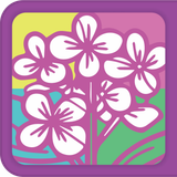 Rochester Lilac Festival