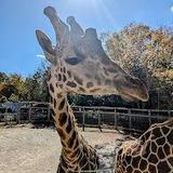 Chattanooga Zoo