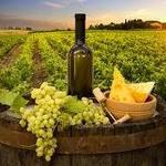 Virginia Wineries