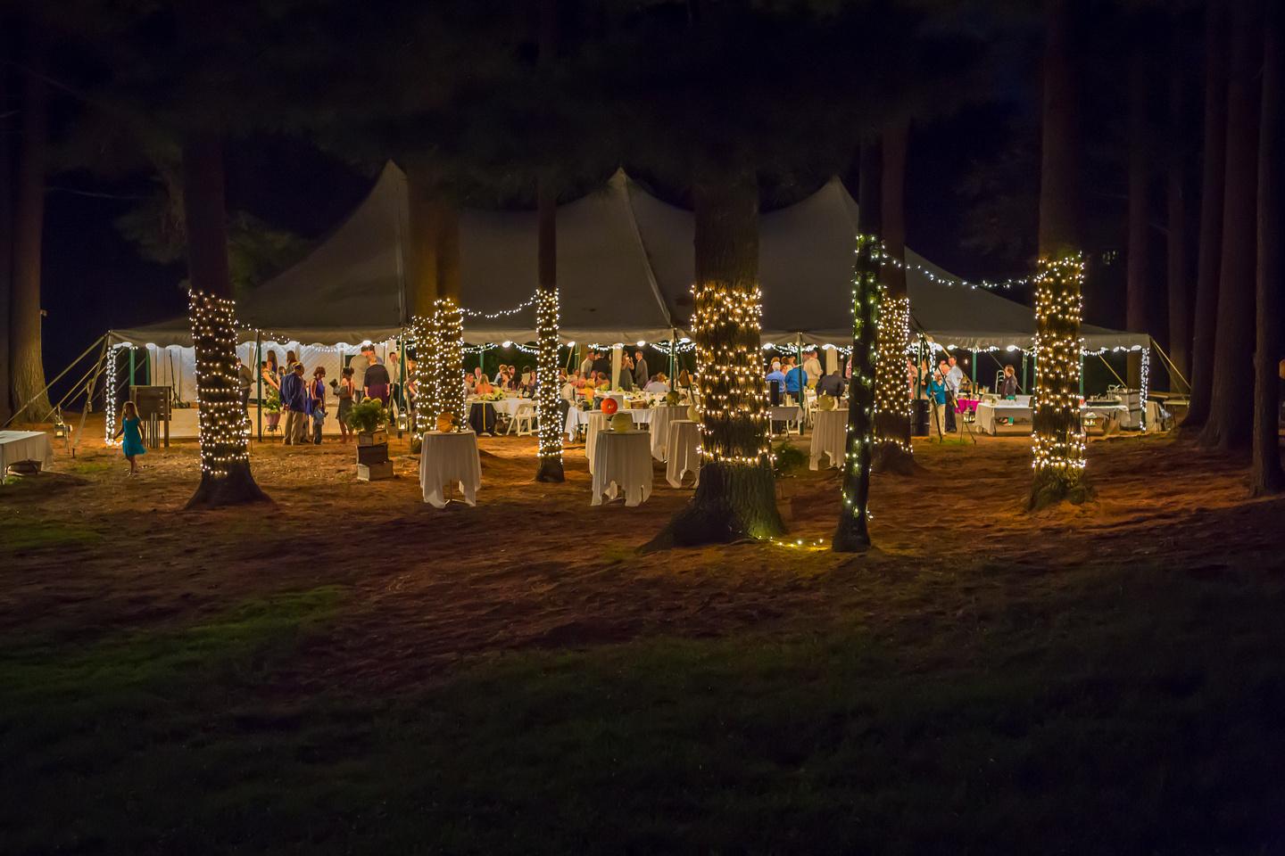 The Wedding Website of Liz Cox and Chris Gurley