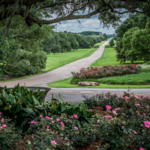 Rip Van Winkle Gardens