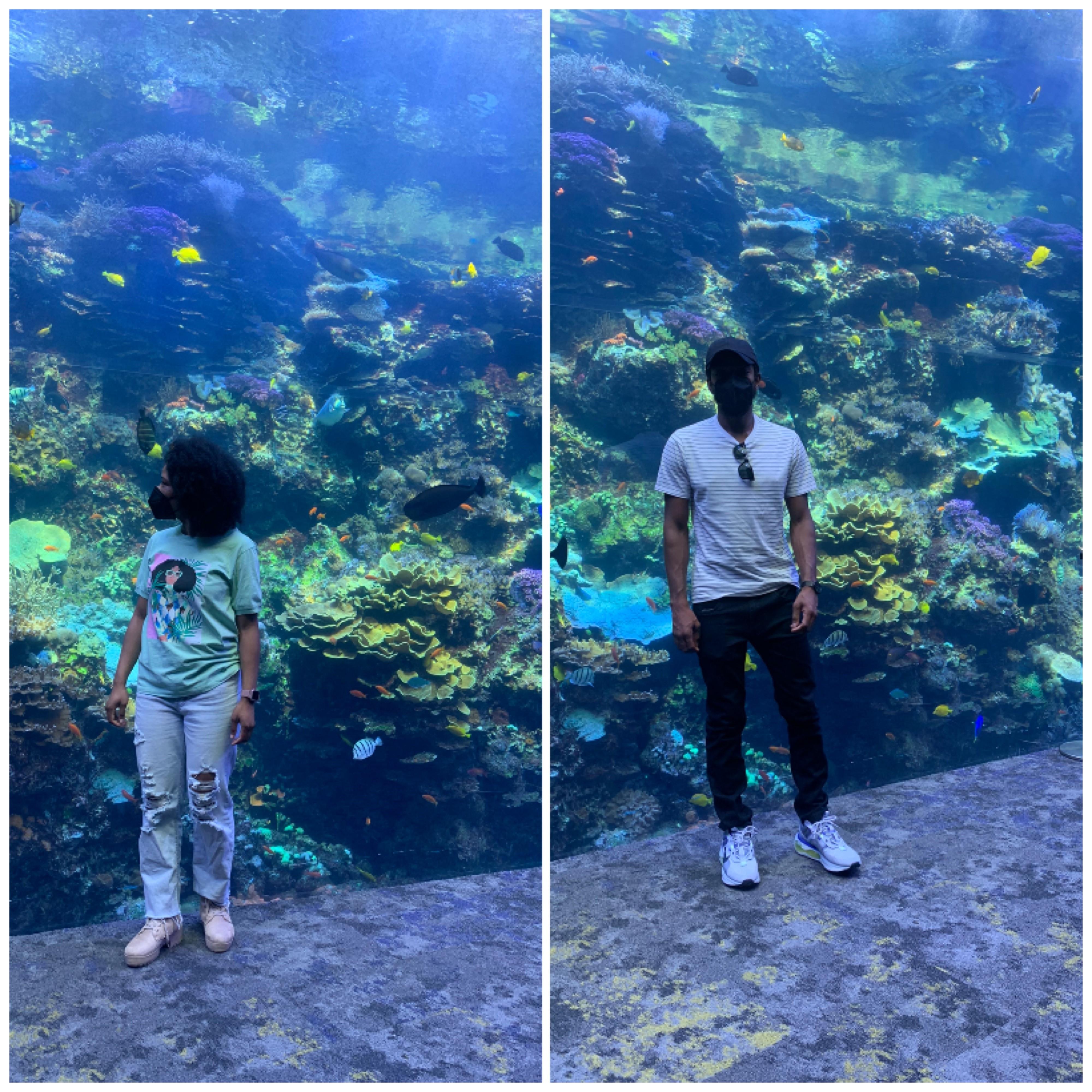 Atlanta- Georgia Aquarium