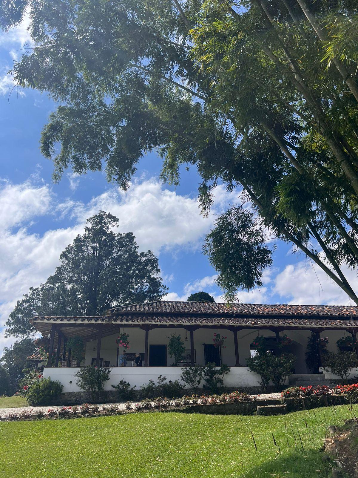 The Wedding Website of María Harry and Felipe Lucena