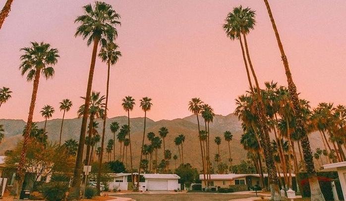 The Wedding Website of Sophie Brown and James Clark Montgomery III