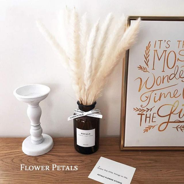 Beau Jour 45cm Natural Dried Pampas Grass 30pcs for Flower Arrangements Home Decor (White)