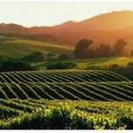 Sonoma County