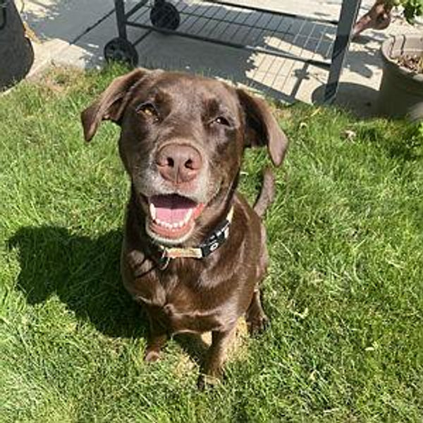 Our Honeymoon & Cash Fund