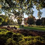 Major's Hill Park