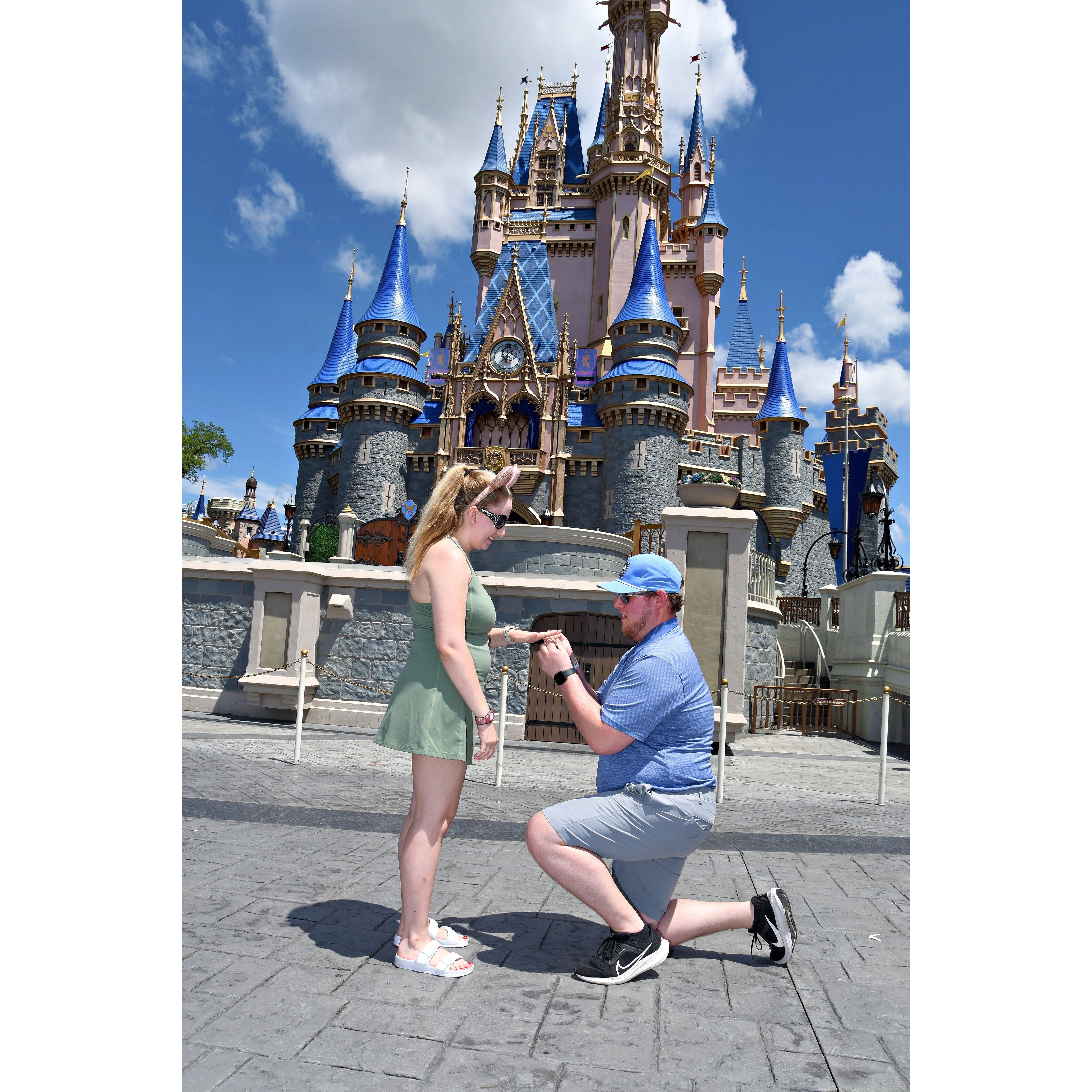 Proposal at Disney