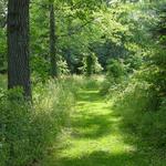 Oakdale Nature Preserve