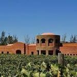Vinisterra Vitivinícola