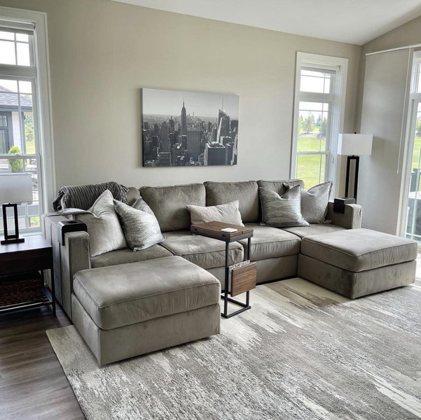 Lovesac couch fund