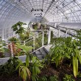 Myriad Botanical Gardens