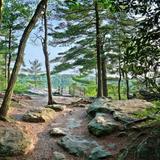 Cook Forest - Seneca Point