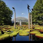 Missouri Botanical Garden