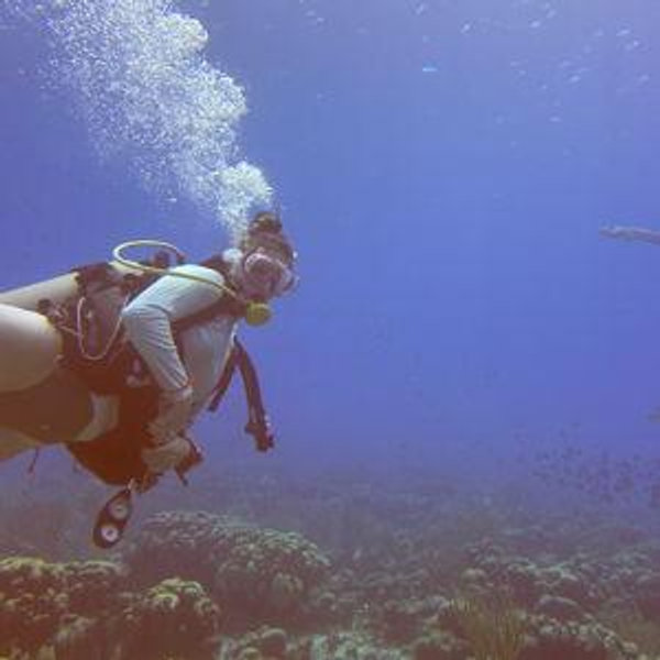 Day of scuba diving