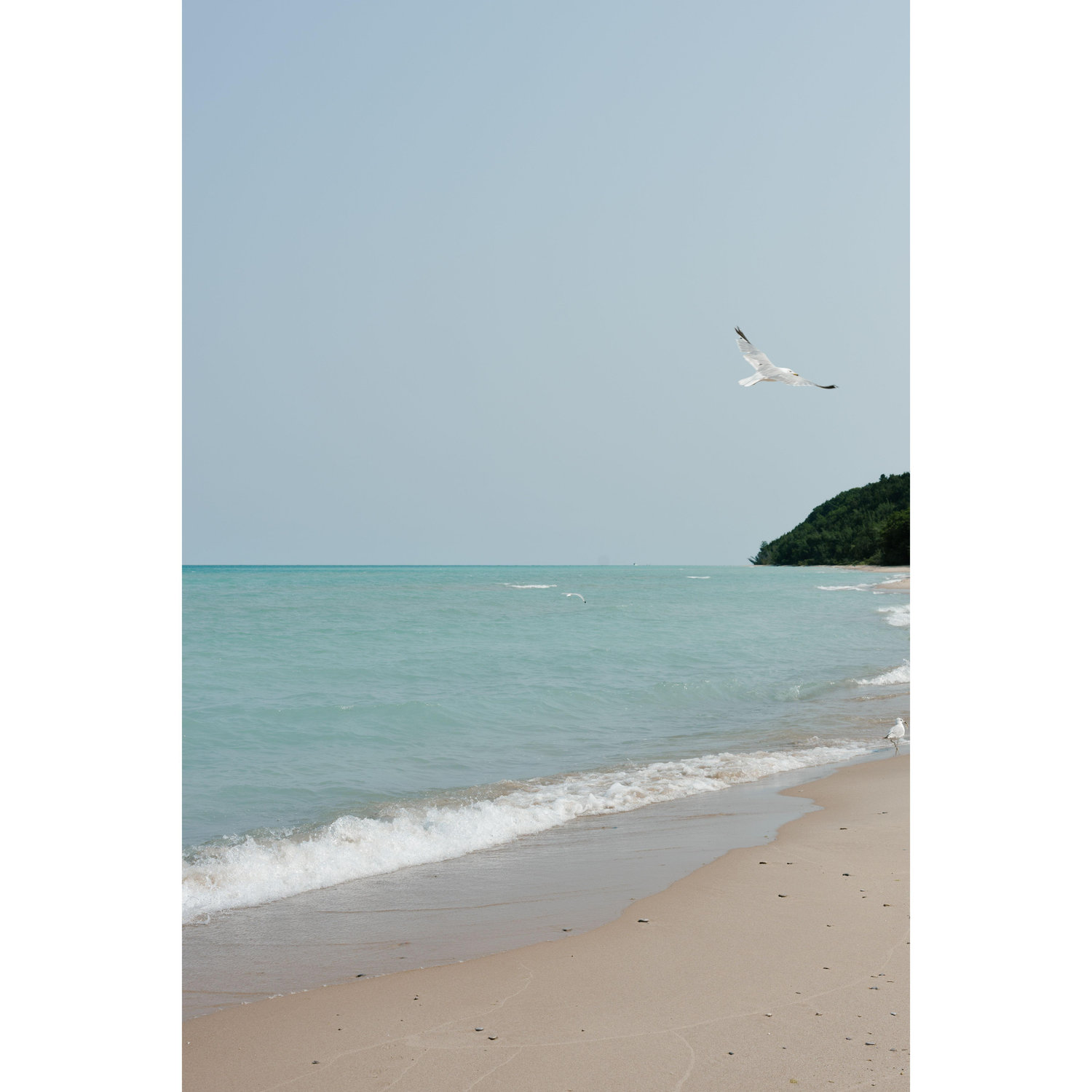 Reynolds Street Beach