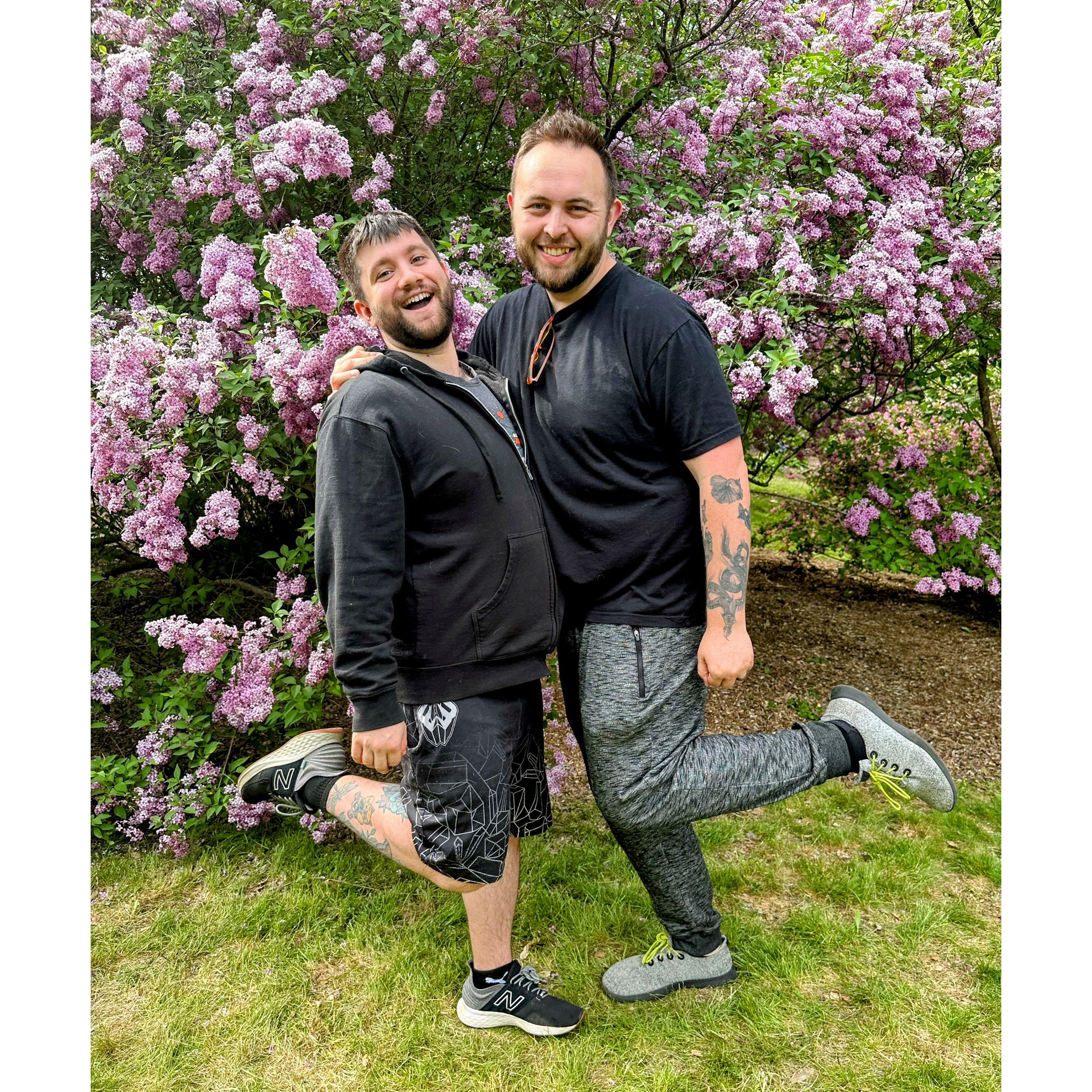 Arnold Arboretum, at the annual Lilac show (2023)