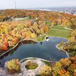 Mount Royal Park