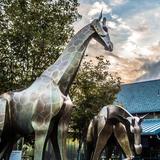 Denver Zoo