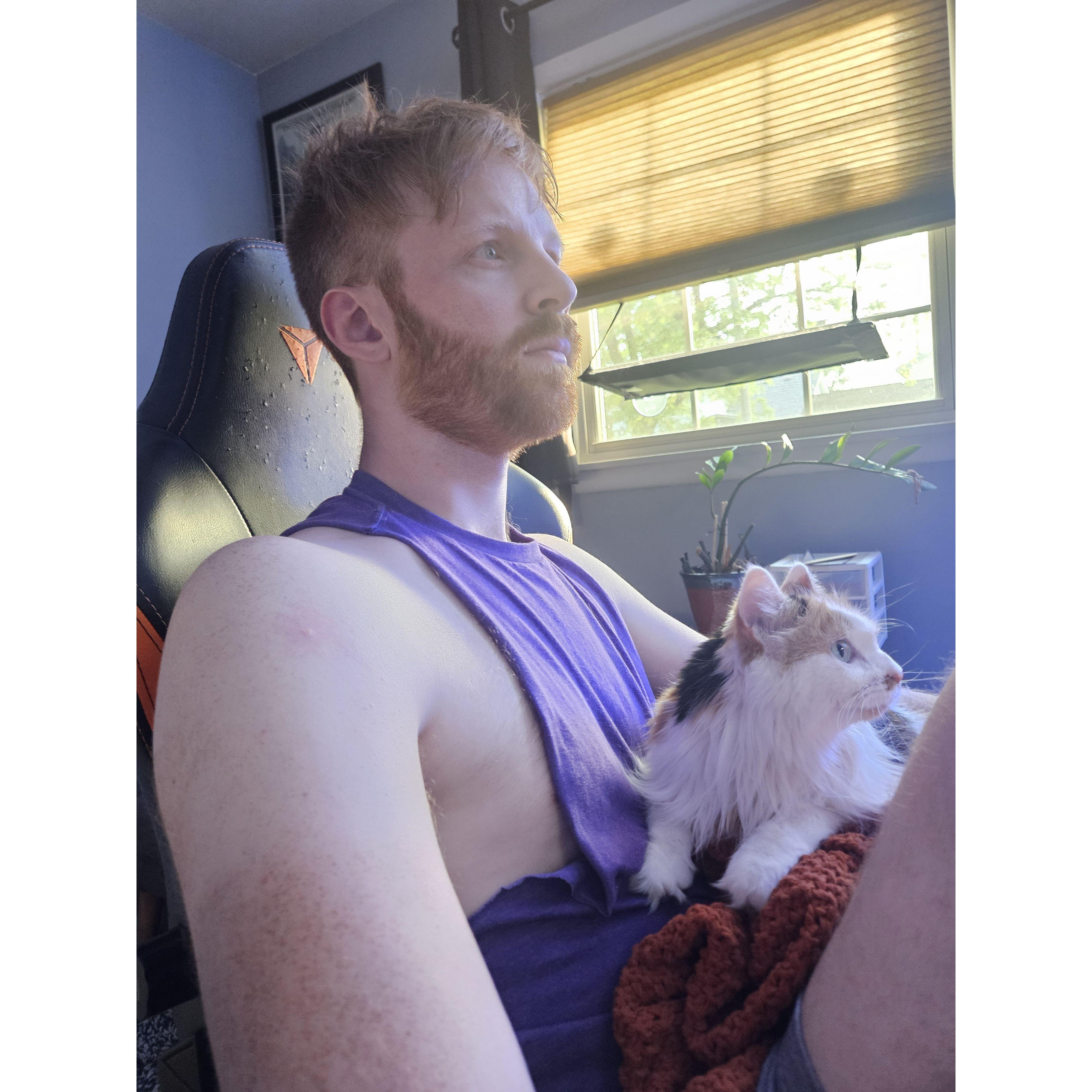 Gaming Cat - keeping an eye out for Chris blindspot
