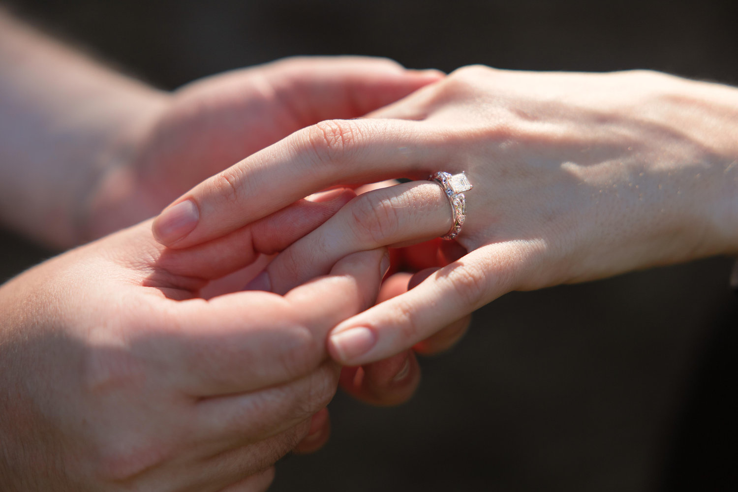 The Wedding Website of Catherine Matteucci and Daniel Murphy