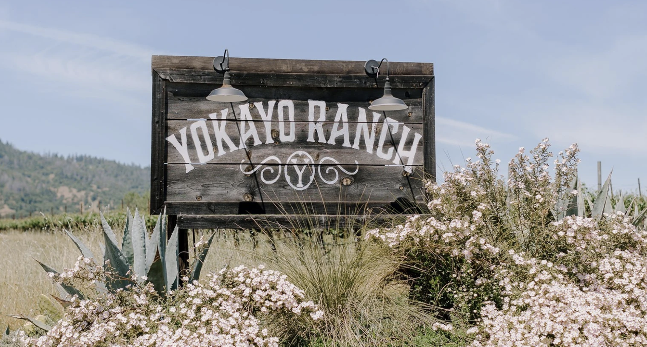 The Wedding Website of Taylor Bibbey and Max Blaha