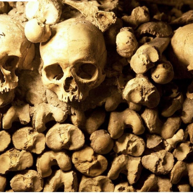 Paris Catacombs Walking Tour