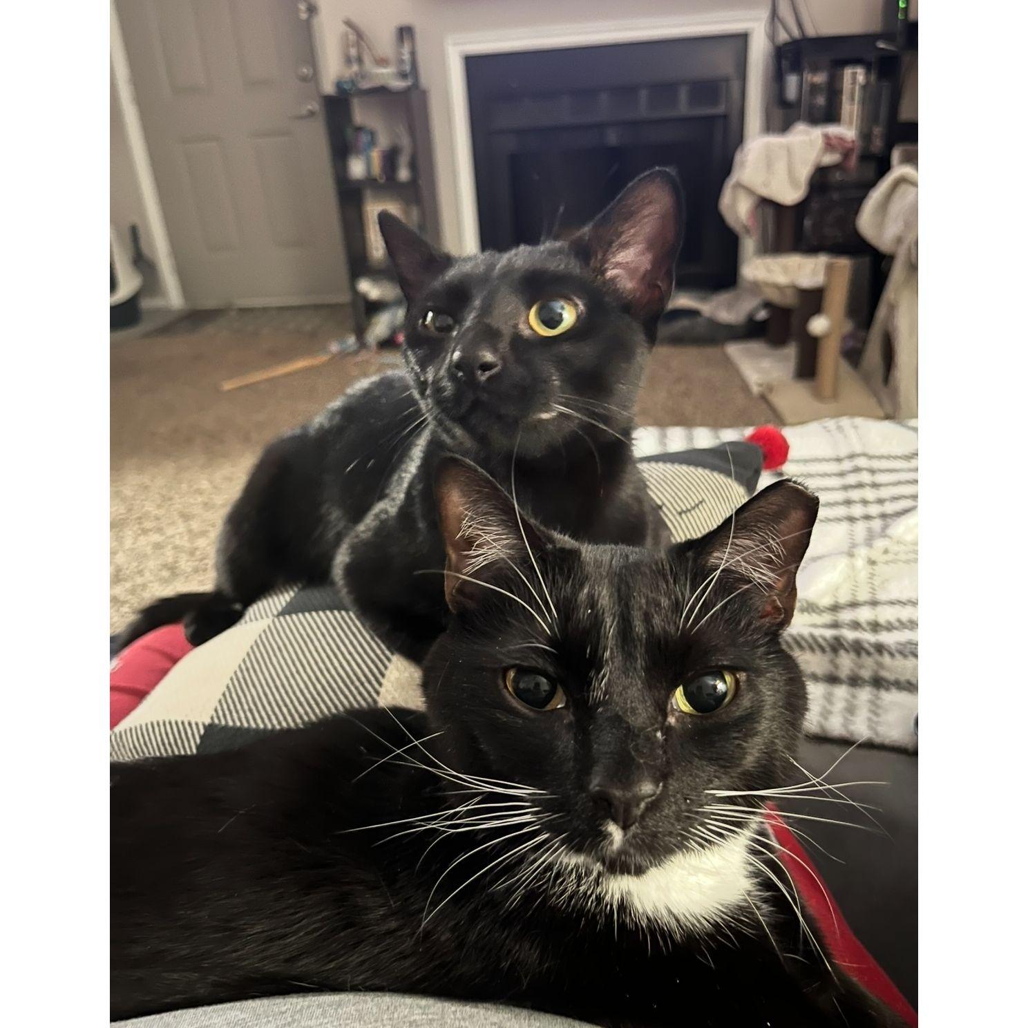Malcolm and Myers, cute and crazy!