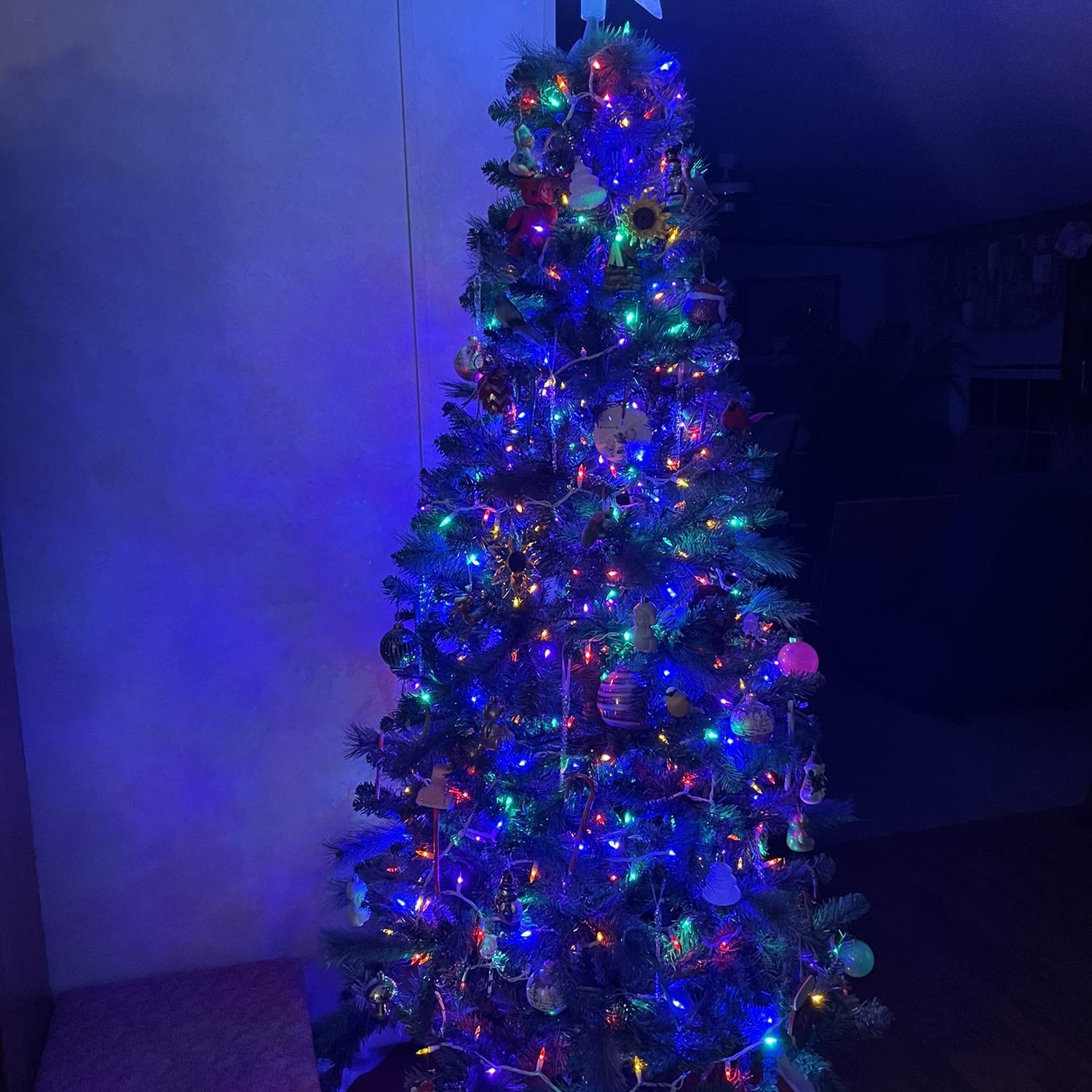 The infamous Christmas tree in October 😂