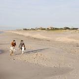 Cooper's Beach