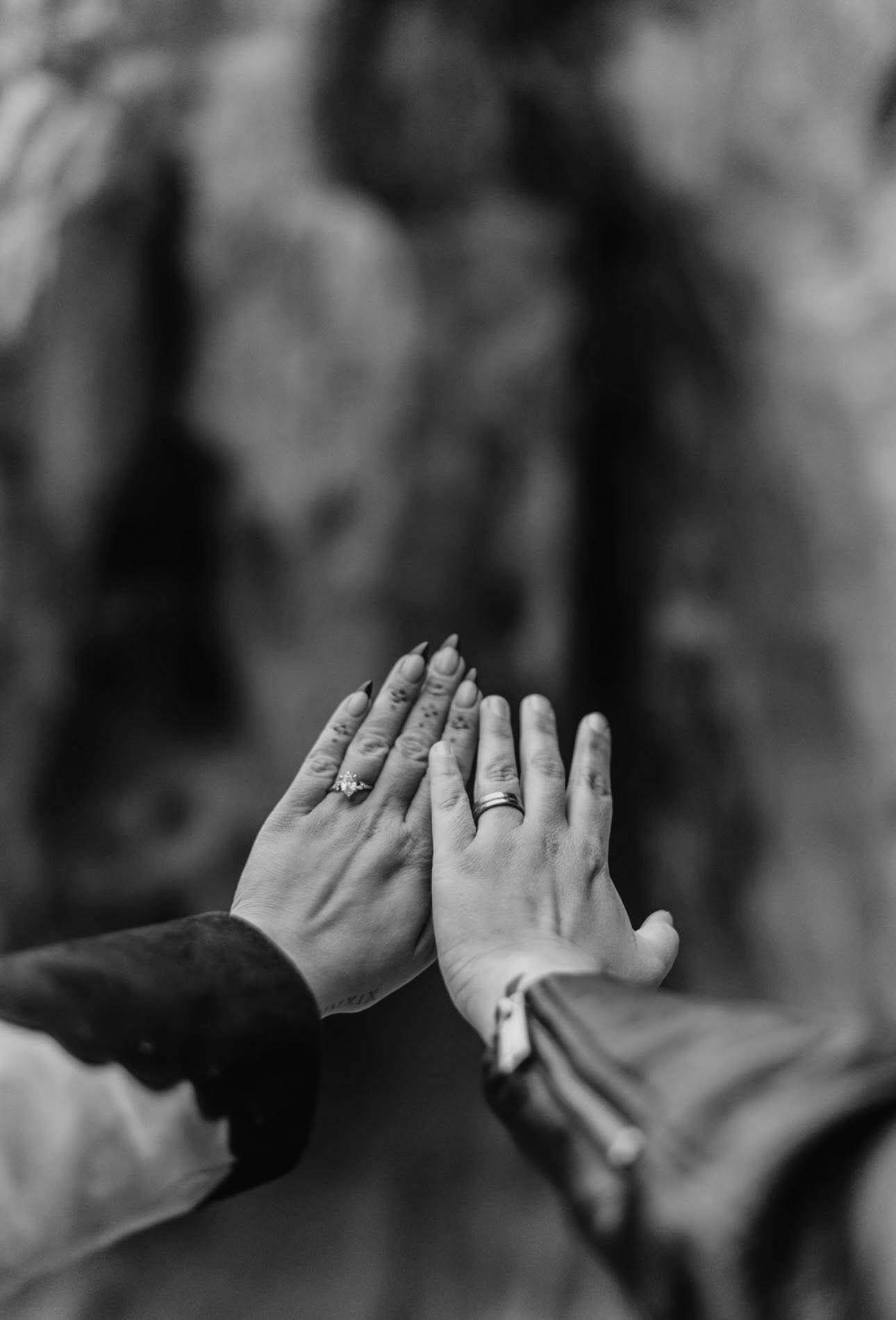 The Wedding Website of Sabrina Bachert and Virginia Salazar