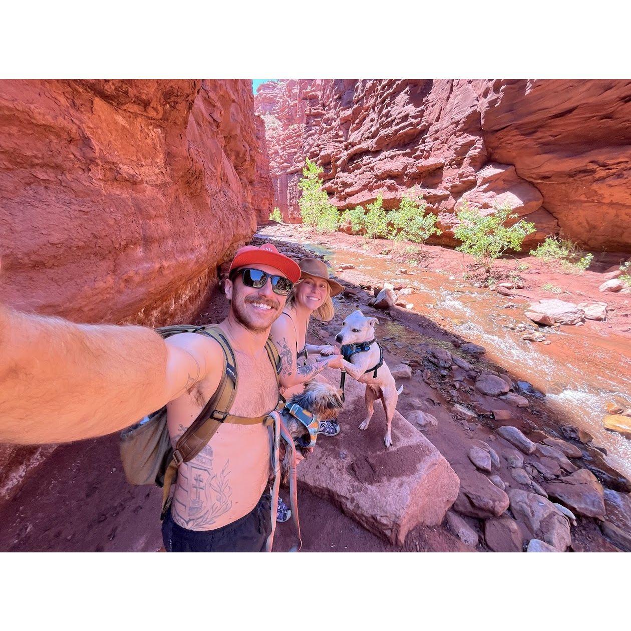 Professor creek via Mary Jane Canyon in Moab