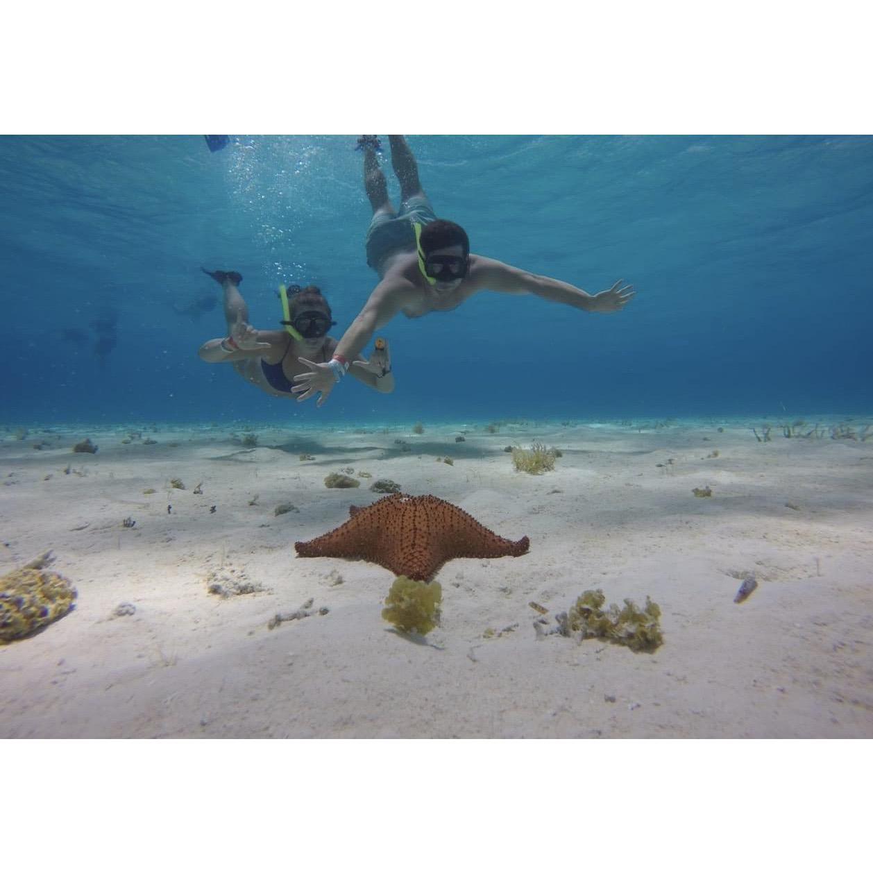 Snorkeling in Cozumel!