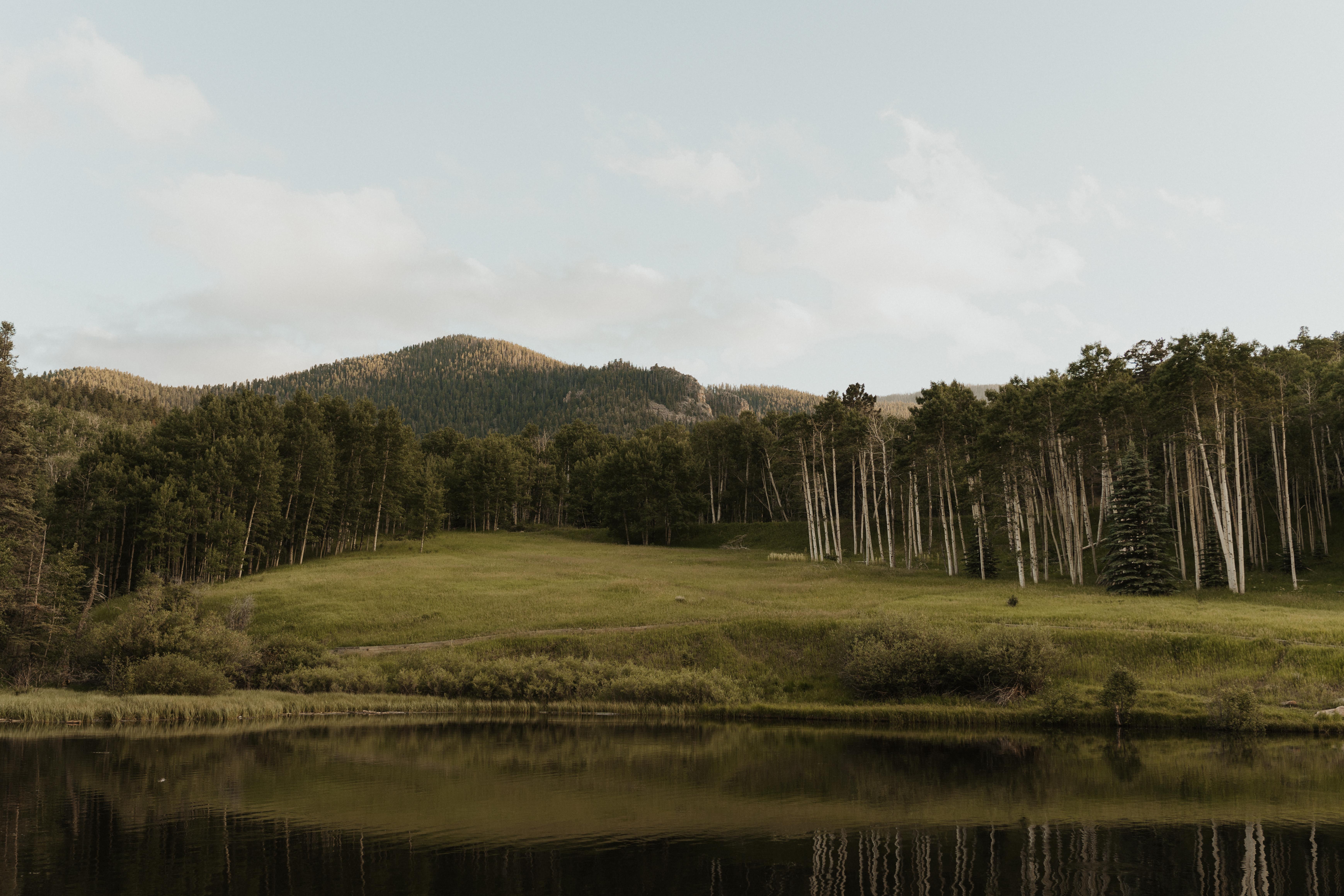 The Wedding Website of Emily Butler and Niles Uerling