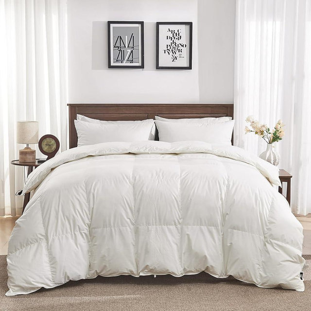 Oaken-Cat Organic Feather Down Fiber Comforter Queen Size - 100% Cotton Shell All Season Duvet Insert, Medium Warmth Hotel Luxury Bedding Comforter(90x90 Inch, White)
