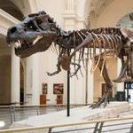 Field Museo de Historia Natural
