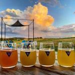 Other Half Brewing Company: Finger Lakes