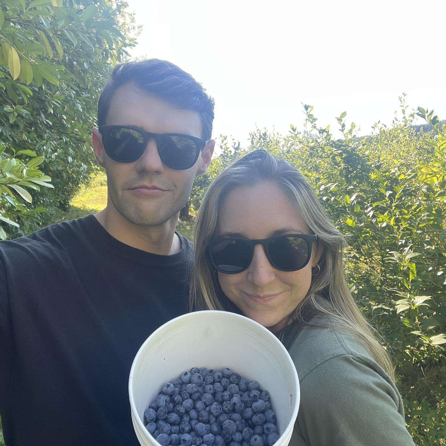Blueberries for days